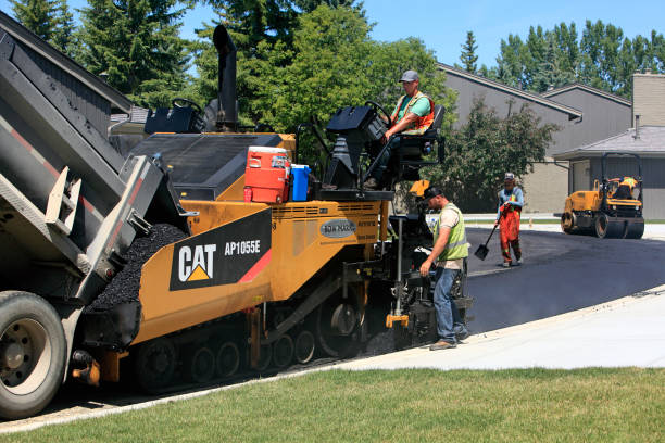 Best Driveway Drainage Solutions in Alexandria, LA