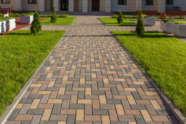 Best Asphalt Driveway Paving in Alexandria, LA